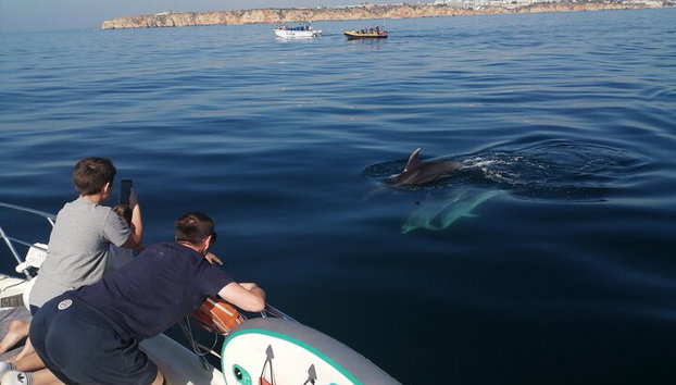 Charter privado por la mañana con bebidas, tapas, tablas de paddle y kayak - Foto 3, Suerte de ver delfines
