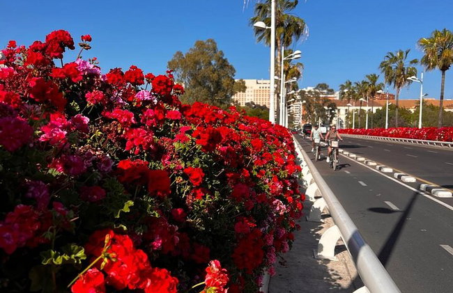 Tour Privado pela Cidade Velha da Idade de Ouro de Valência - Foto 3