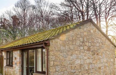 Ocean Cottage - Foto 46