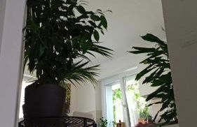 Appartment Lodged Mamma Maria - Foto 16