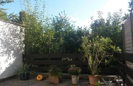 Eulennest-lu - Foto 16