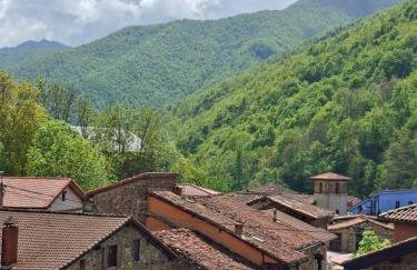 Casa Rural La Torre de Espinama - Photo 5