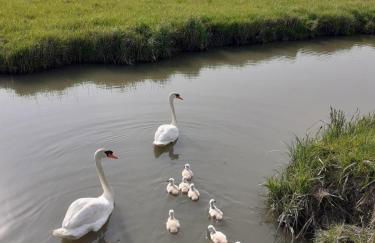 La Villa l'Oiseau Bleu proche de la plage et de Deauville !!! Awards 2025 - Photo 30