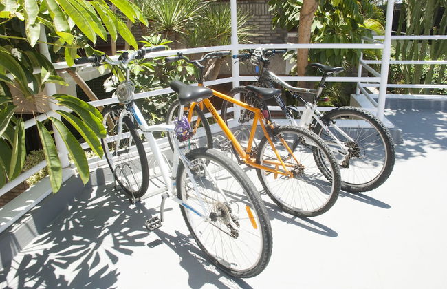 Apartamentos El Paseo - Foto 73