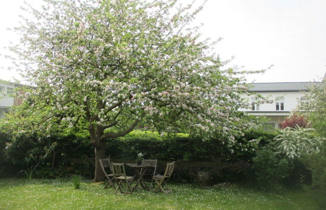 My Holiday Home Comfortable Holiday Residence - Foto 32