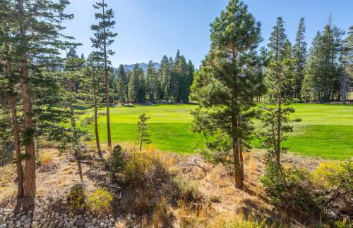 Obsidian 300 - Foto 22