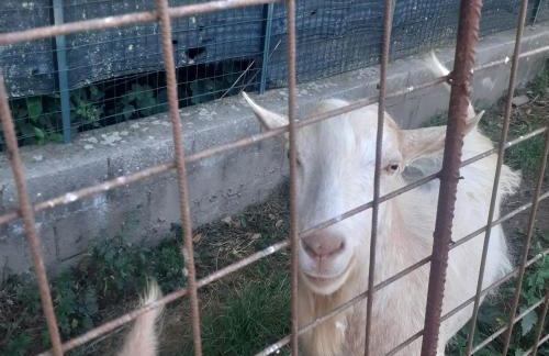 casavacanze Baggioro - Foto 27