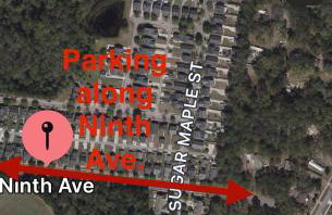 Hidden Palm - Old Town Bluffton, SC - Photo 29