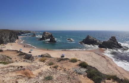 Gecko Pego Longo - Foto 13