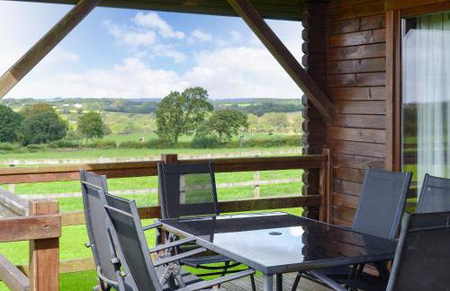 Dartmoor - Uk12537 - Foto 13