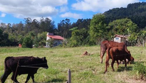 Refúgio da Serra - Photo 5