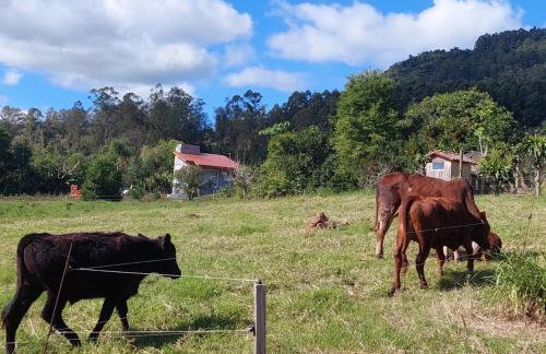 Refúgio da Serra - Foto 5