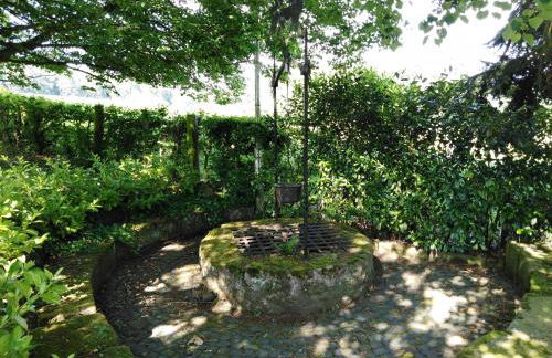 Wolfsmühle - Foto 20