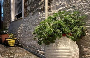 Το σπίτι της γιαγιάς - Foto 32