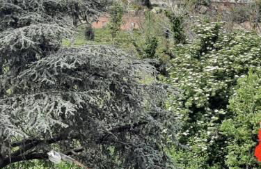 Luna Reale Relais e Suite - Foto 8