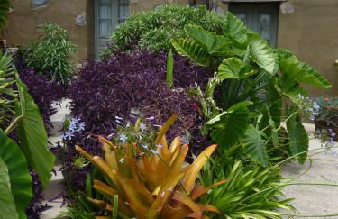 El Susurro Ecoliving_VILLA PARDELA - Foto 19