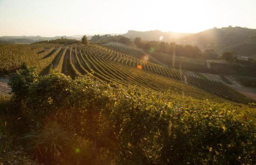 Villa Cornarea - Foto 73