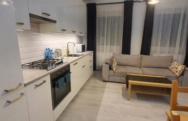 Apartament Mickiewicza - Foto 4