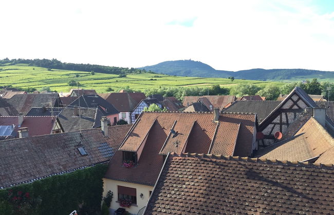 S'harzala Jaune - Foto 16