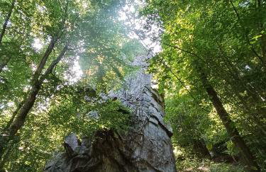Rifugio Futopia - start here your journey to the discovering of the Alpi Graie - Foto 37