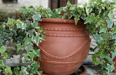 Stonehouse - The Secret Place - Foto 41