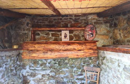 CHALET NEL BOSCO - TENUTA BOCCHINERI - Photo 31