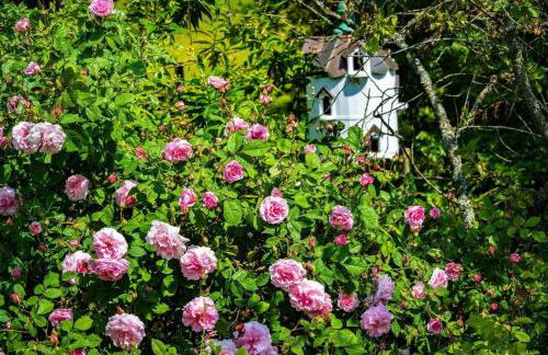 Coach House - Foto 30