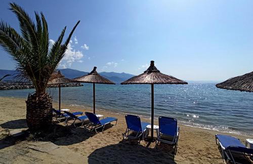 Λευκό γιασεμί - Photo 20