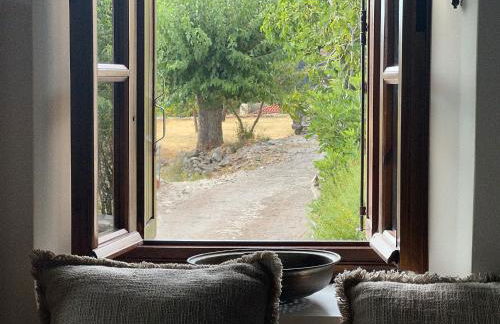 Terra Petra Villa at Psari Trikolonon Gortynia - Photo 35