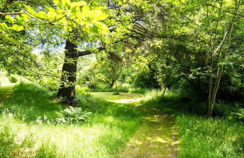 Ta Mill Cottages & Lodges - Pump Cottage - Foto 46