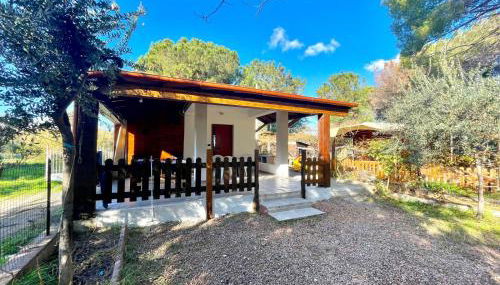 Sea Breeze Home - Foto 1, Garden, Garden view