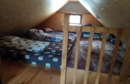 Podlaskie Żuczki - Foto 12