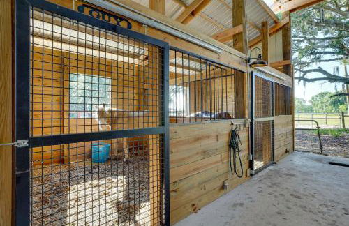Farm Stay Modern Barndominium in Lakeland! - Foto 24