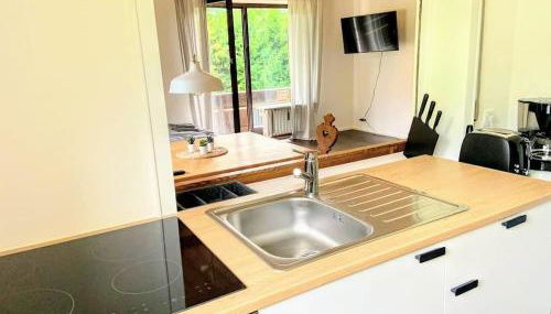 Haus Oberwössen Studio #2 Rechenberg mit Sauna - Foto 5