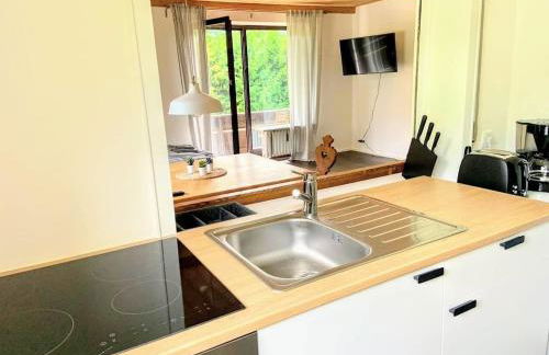 Haus Oberwössen Studio #2 Rechenberg mit Sauna - Foto 5