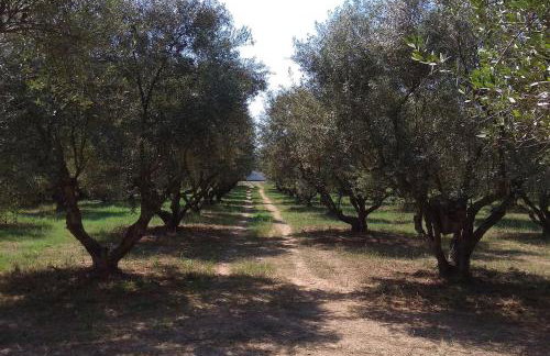 Mallios Home FLOKA close to Ancient Olympia - Foto 16
