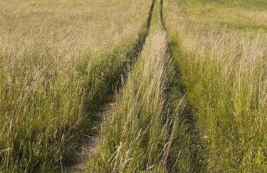 Karolówka Nad Osławą - Foto 26