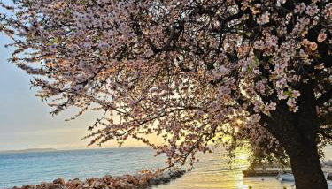 Robinson House Mimo - Photo 3