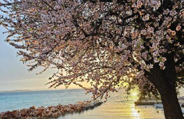 Robinson House Mimo - Photo 3