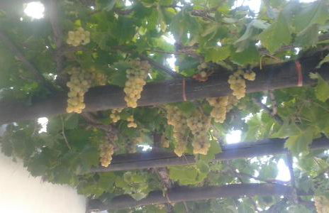 Nymphes Luxury Apartments - Foto 68