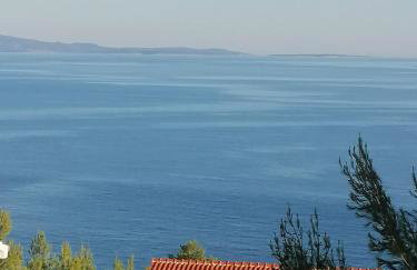 Apartments Berti - Foto 8