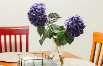 Dahlonega Escape, Wineries, Game Room, Hiking - Photo 8