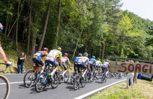 SO MAGIC - La casa nel bosco - Foto 73