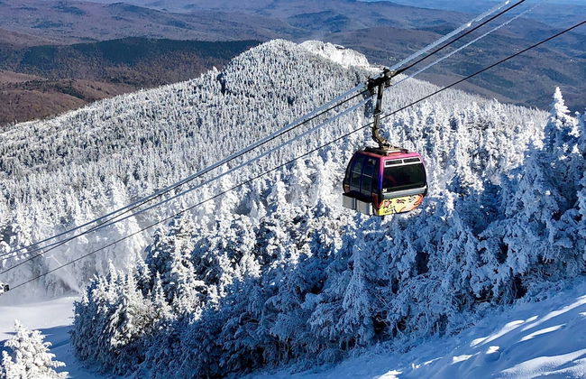 Forest Mountain Escape: Beautiful Mountaintop Escape In Mendon, Vt. 20 Min To Killington/14 To Pico. 4 Bedroom Home - Foto 18