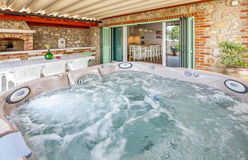 Vila s jacuzzijem i bazenom Mavrinac - Foto 13