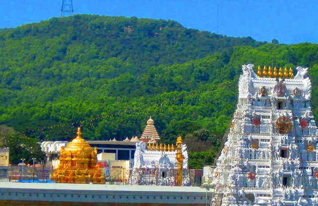 Ausflug nach Tirupati - Private Tour - Foto 1
