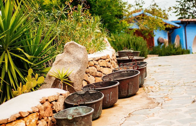 Agriturismo Camisadu - Foto 46