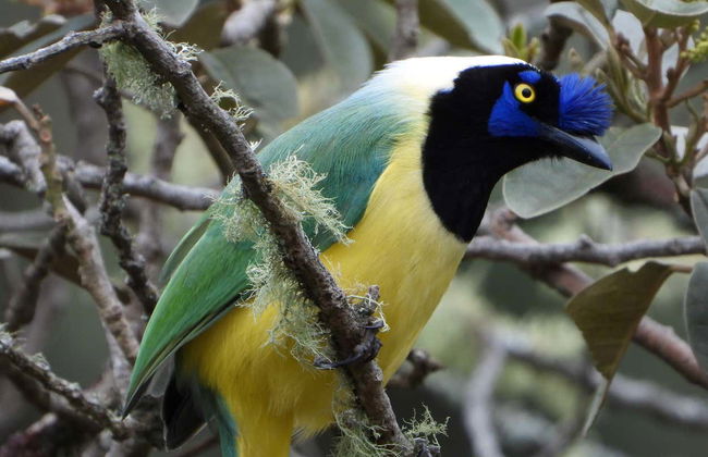 Bird-Watching at Barbas Bremen - Photo 2