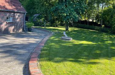 Seestern am Naturstrand - Foto 31