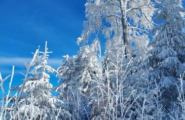 Ferienhaus Ritzmais - Foto 7